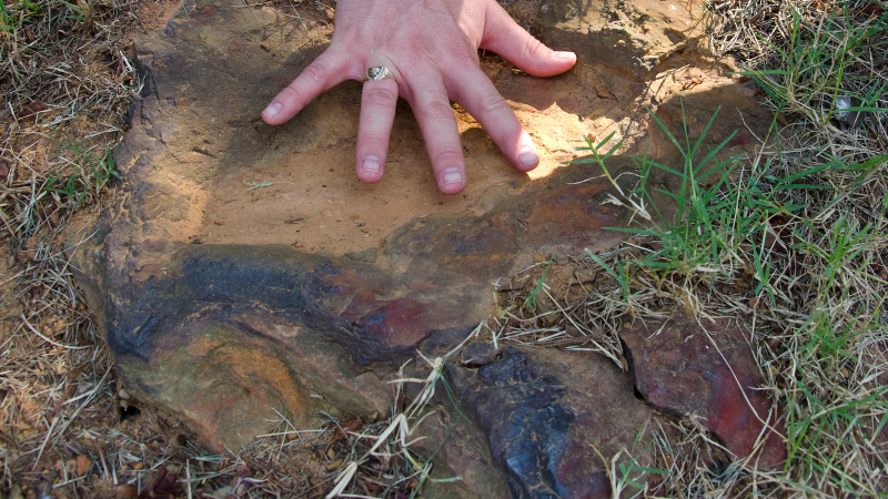 Illustration for article titled NASA Discovers Proof of Ancient Life—In Their Own Backyard